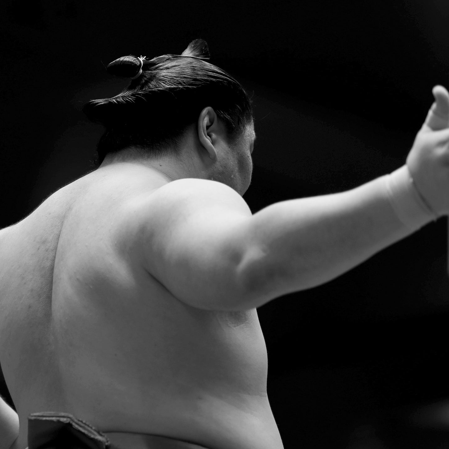 Sumo Wrestler