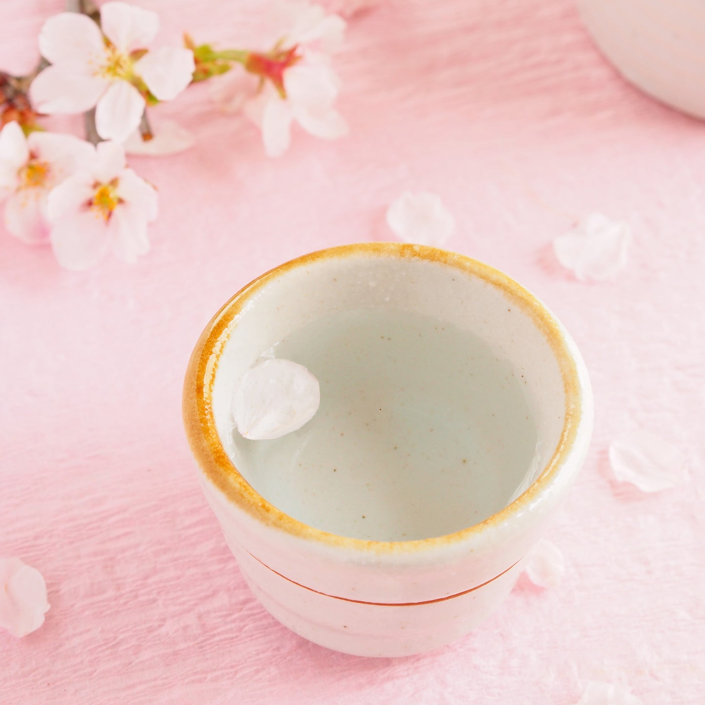 Hanamizake (Japanese sake under cherry blossoms)
