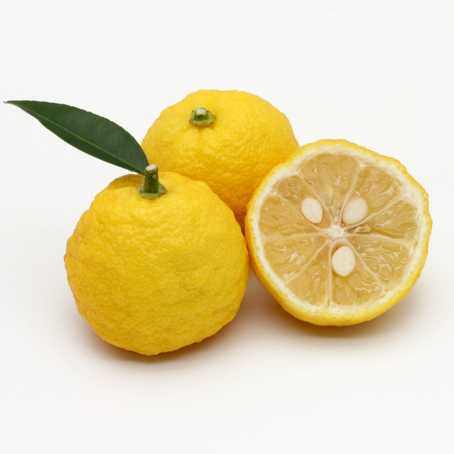 Yuzu (Japanese citrus fruit)